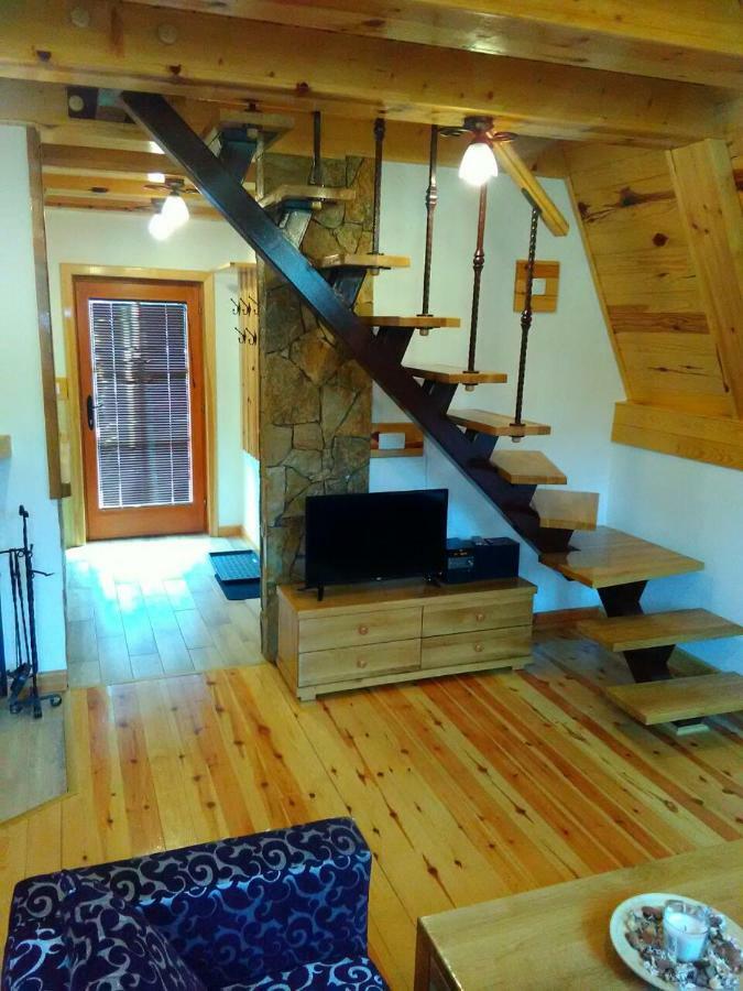 Mountain House Tadic 1 Villa Баина Баща Екстериор снимка