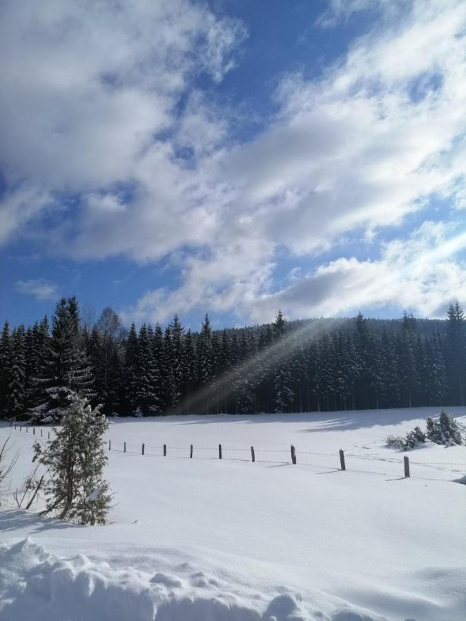 Mountain House Tadic 1 Villa Баина Баща Екстериор снимка