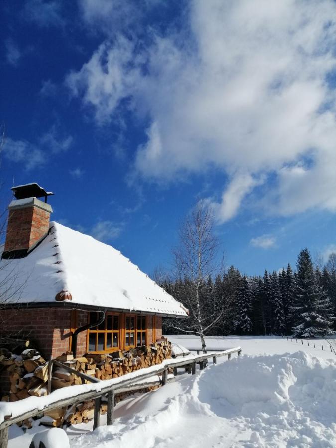 Mountain House Tadic 1 Villa Баина Баща Екстериор снимка